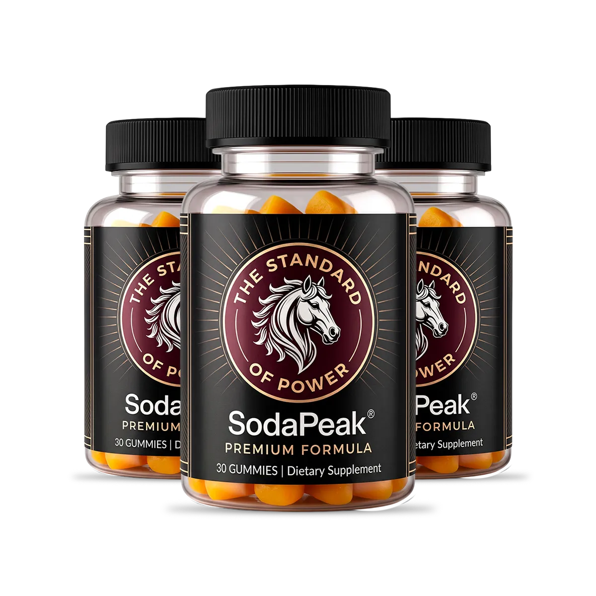 SodaPeak 3-bottle supply