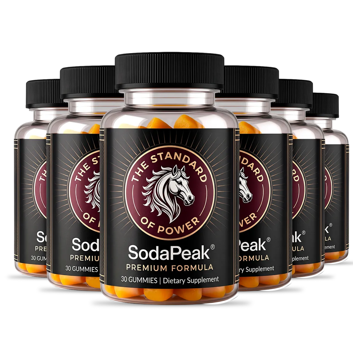 SodaPeak 6-bottle supply